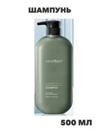 Шампунь для сухих и ломких волос против перхоти, n4284-364970 n4284-364970