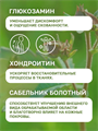 Серия 03 Гель-бальзам Сабельник Хондроитин Глюкозамин для тела "Мирролла" 75мл, y2050203265 y2050203265 - фото 61008